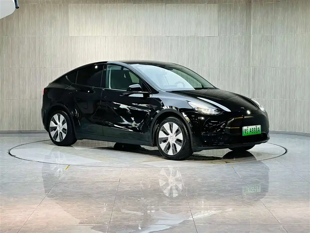 Tesla Model Y 2021 Standard Range RWD Edition