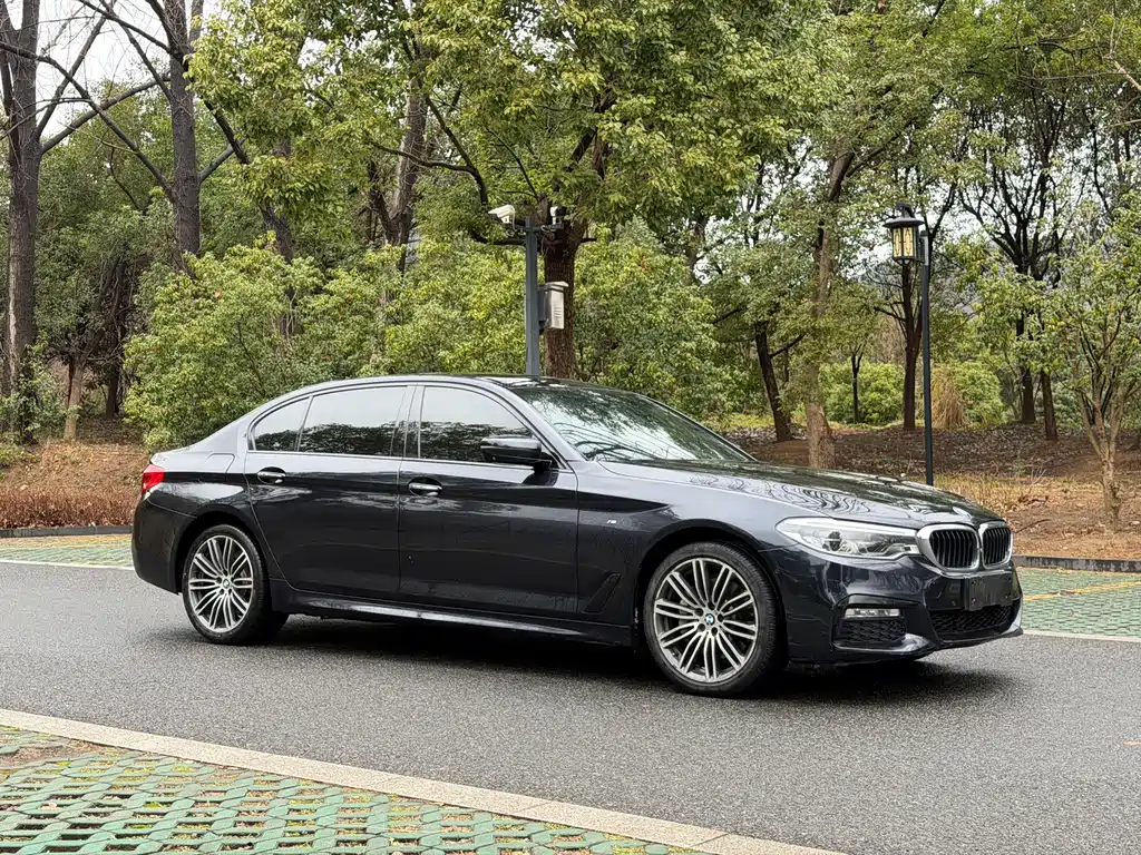 BMW 5 SERIES