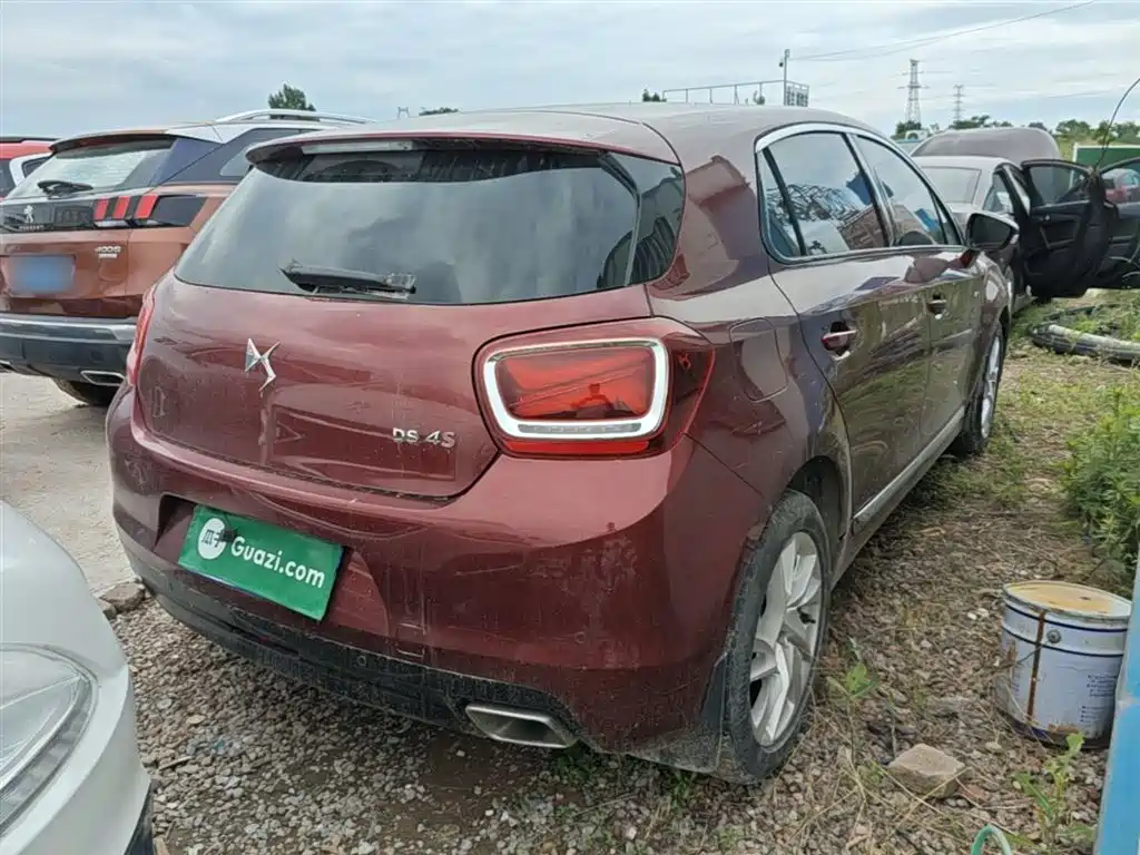 DS DS 4S — миниатюра 7