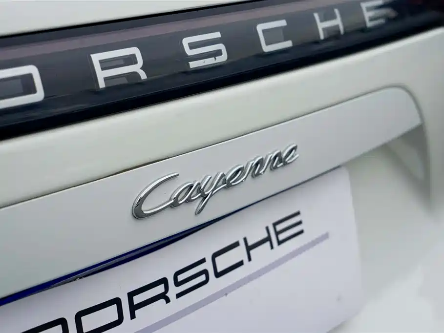Porsche Cayenne 2022 — фото 17