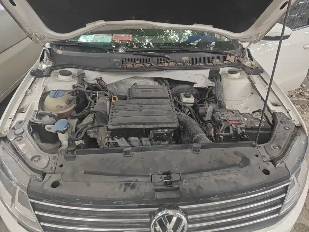 Volkswagen Gran Lavida — миниатюра 11