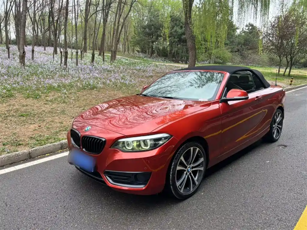 BMW 2 Series (Import) 2021