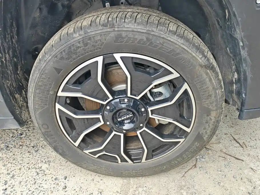 Haval Плюс новая энергия. — миниатюра 6