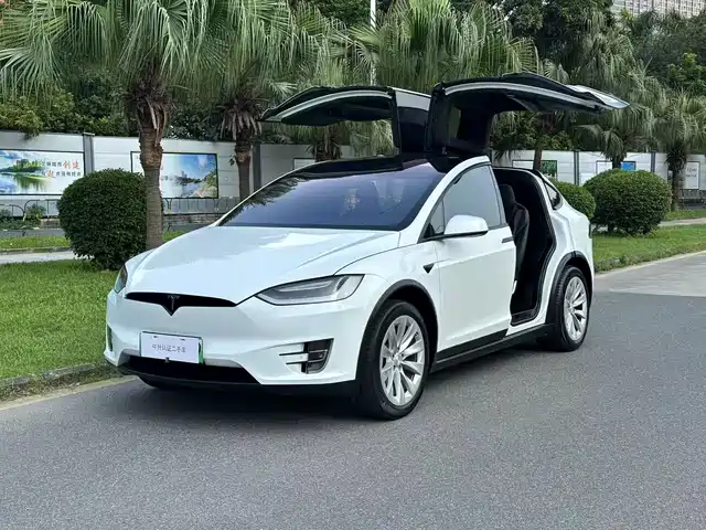 TESLA MODEL X 2017