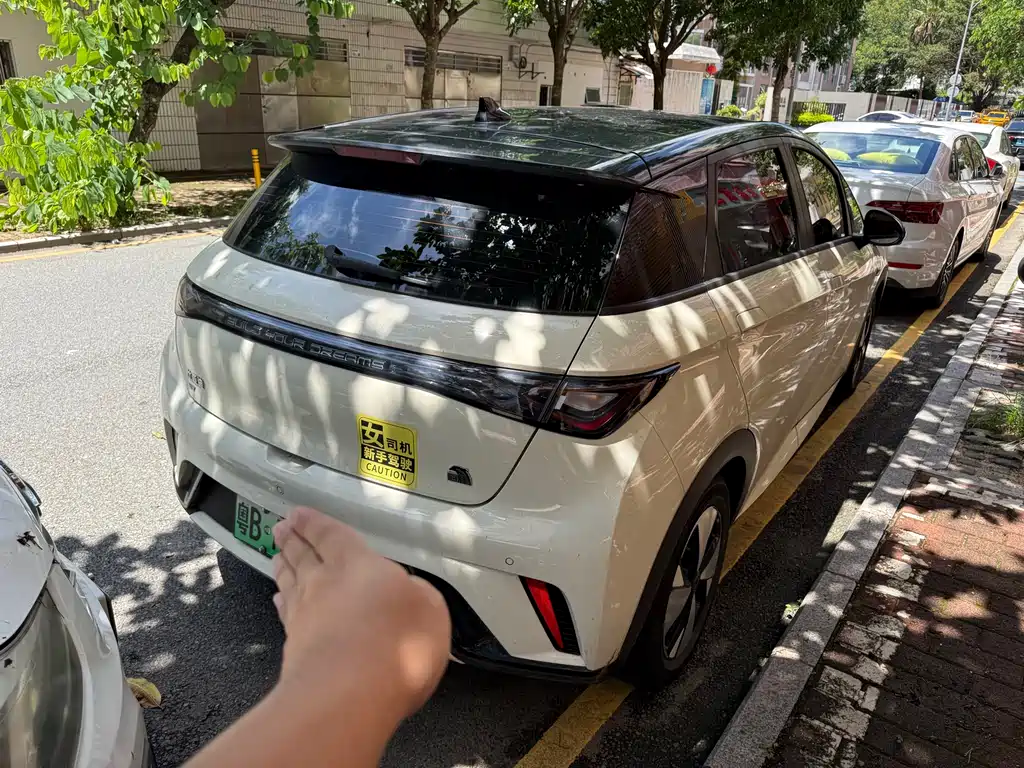 BYD Dolphin 2024 420km Fashion