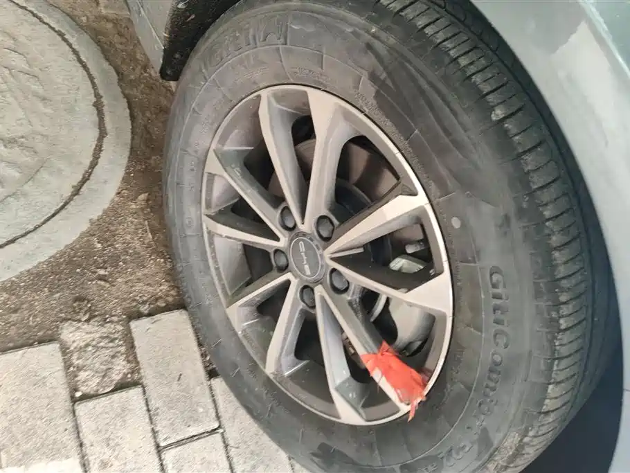 BYD Destroyer 05 2023 Champion DM-i 55KM Luxury