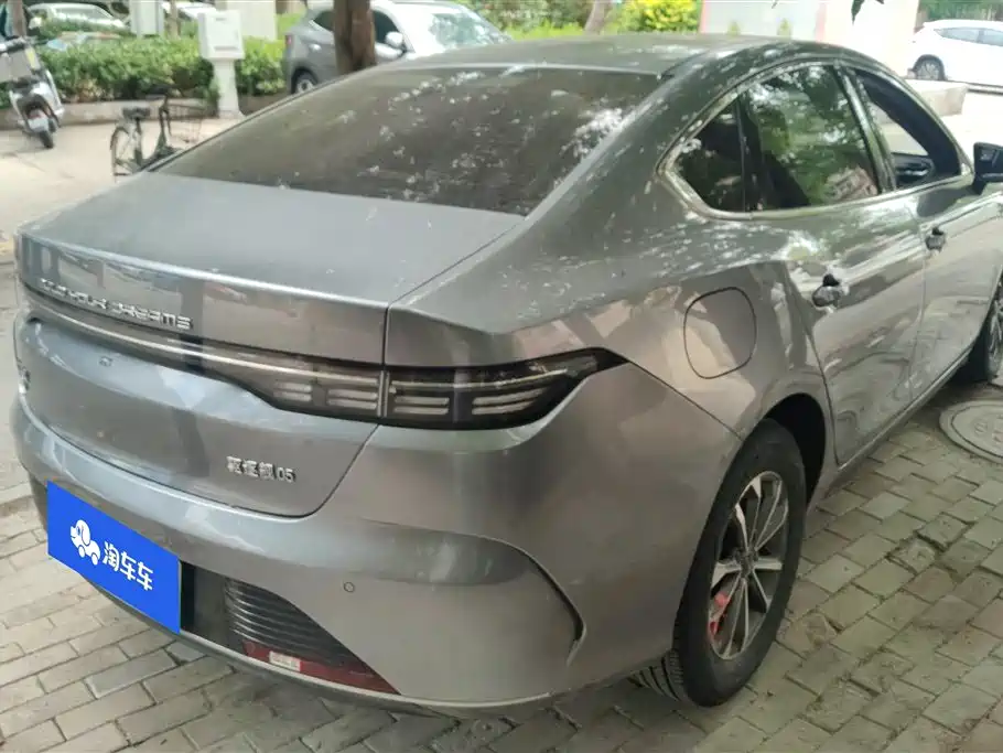 BYD Destroyer 05 2023 Champion DM-i 55KM Luxury