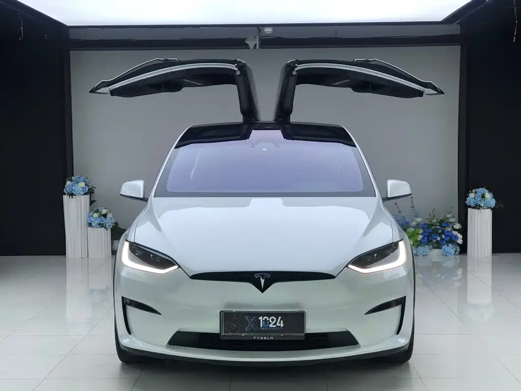Tesla Model X — фотографии объявления, Фото 3