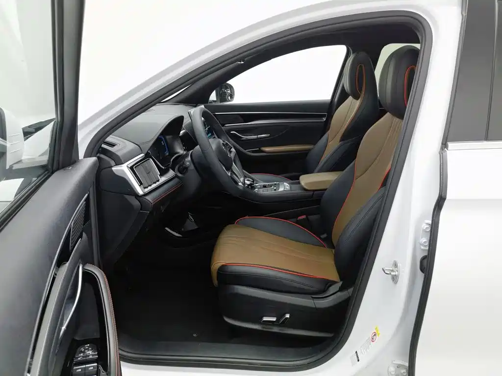 BYD PLUS — миниатюра 10