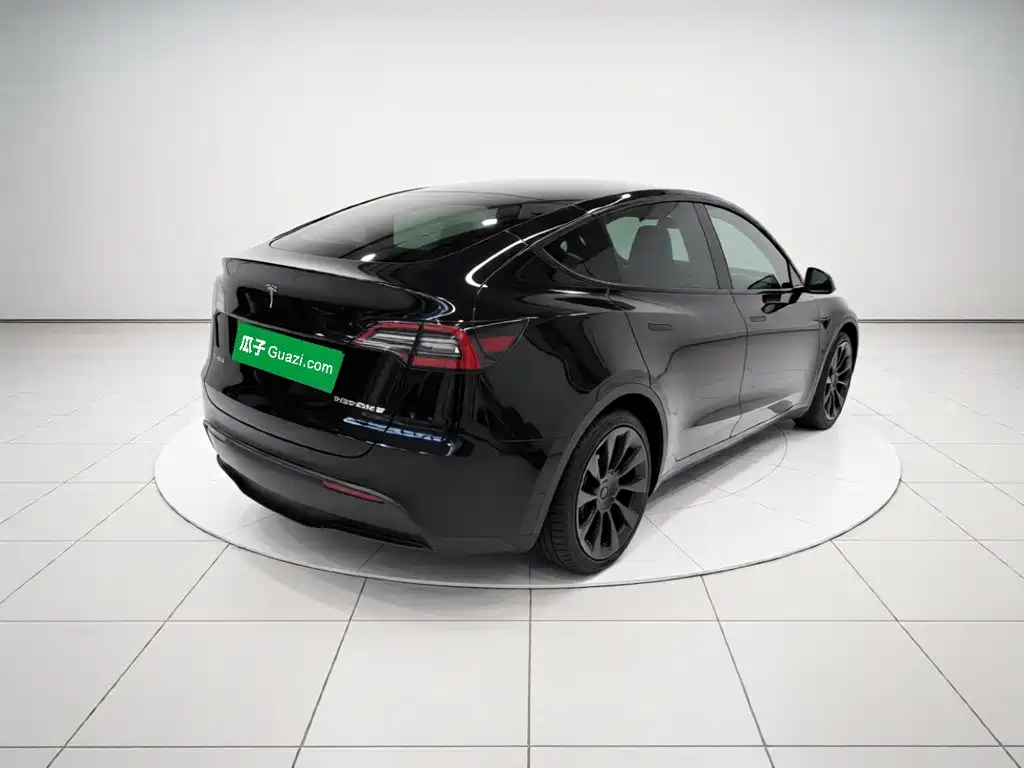 Tesla Model Y — миниатюра 6
