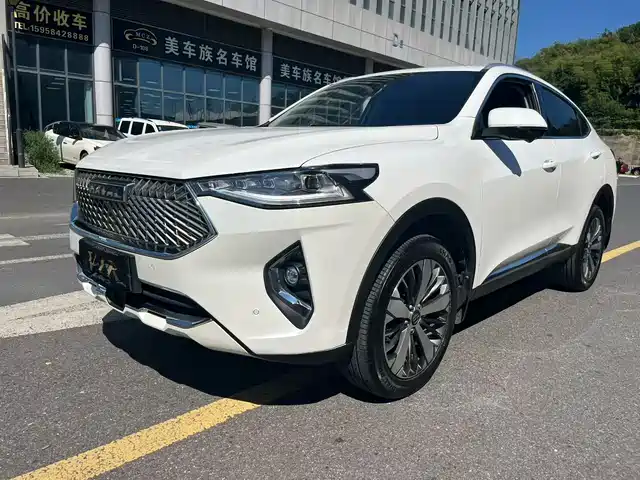 HAVAL F7X