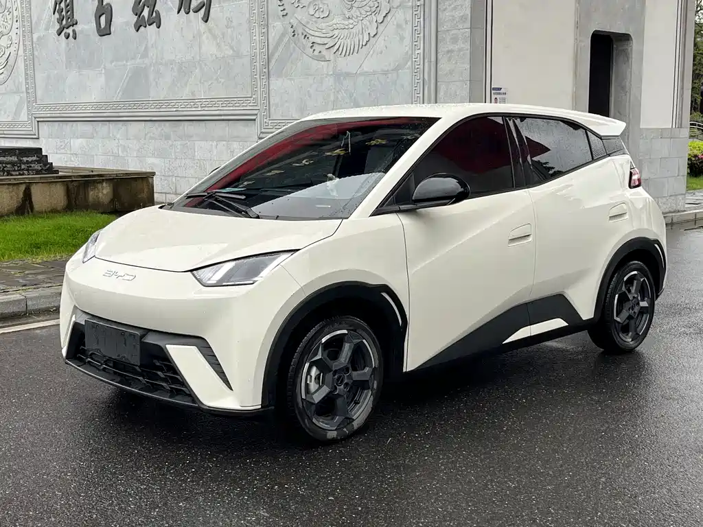 Byd Seagull 2023