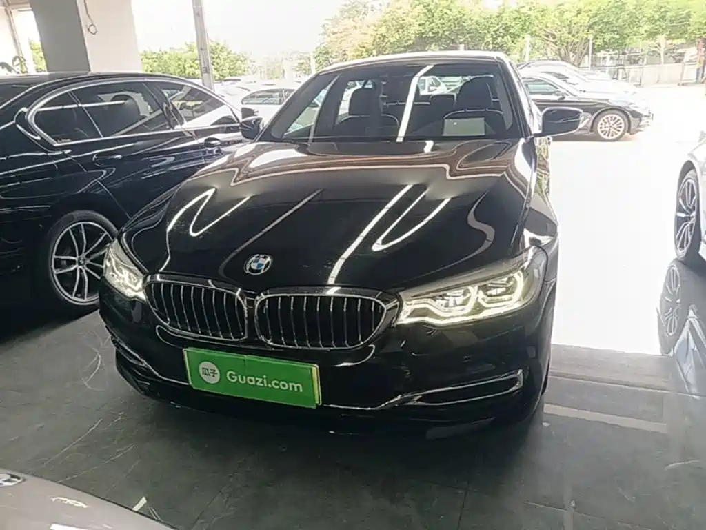 BMW 5 Series 5 2019 530Le