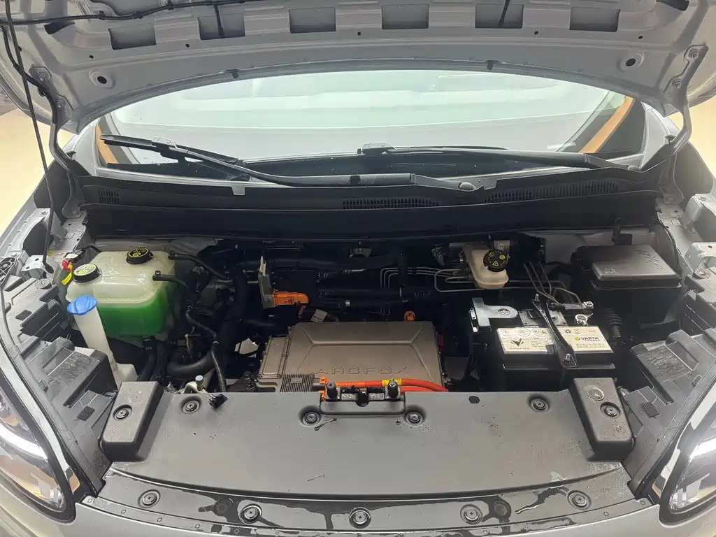 ARCFOX EXTREME FOX POLAR FOX KOALA S