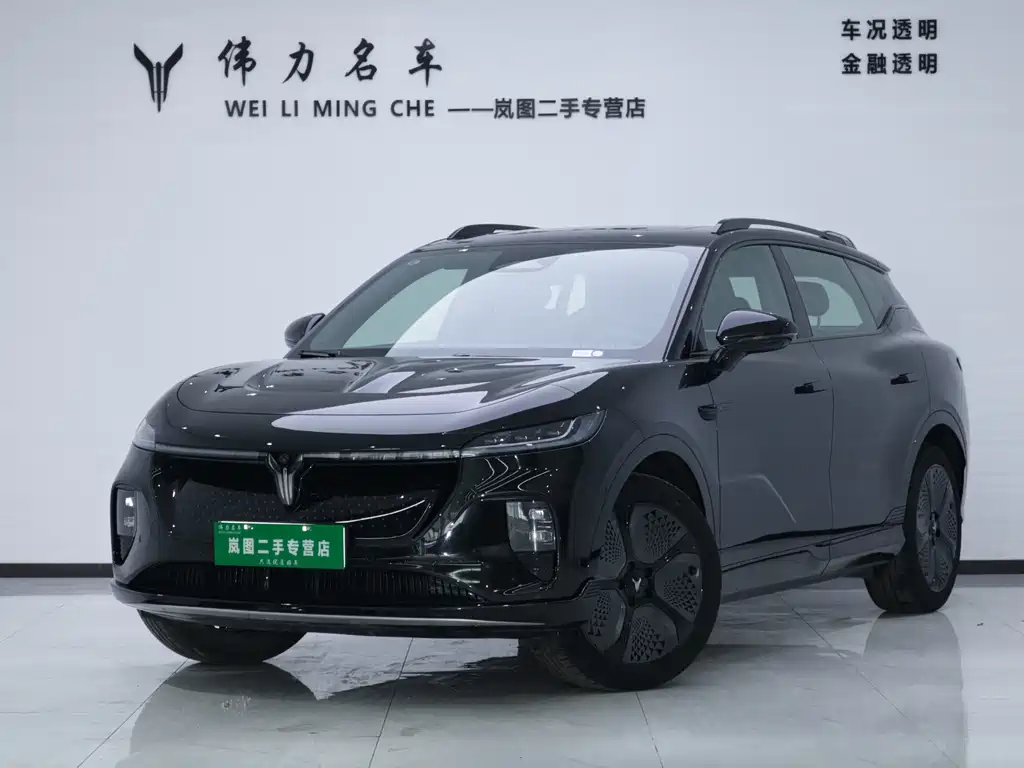 Voyah Zhiyin 2025