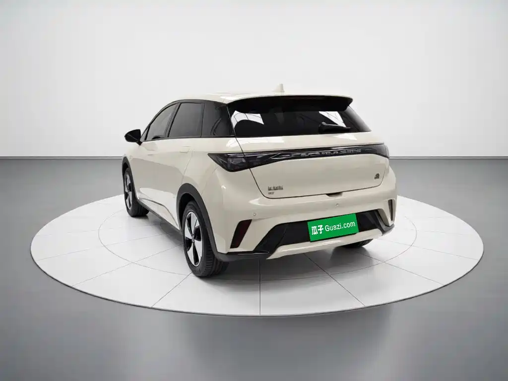 BYD Dolphin — миниатюра 4