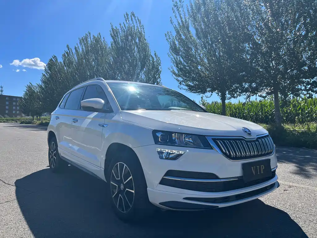 Skoda Karoq — миниатюра 3