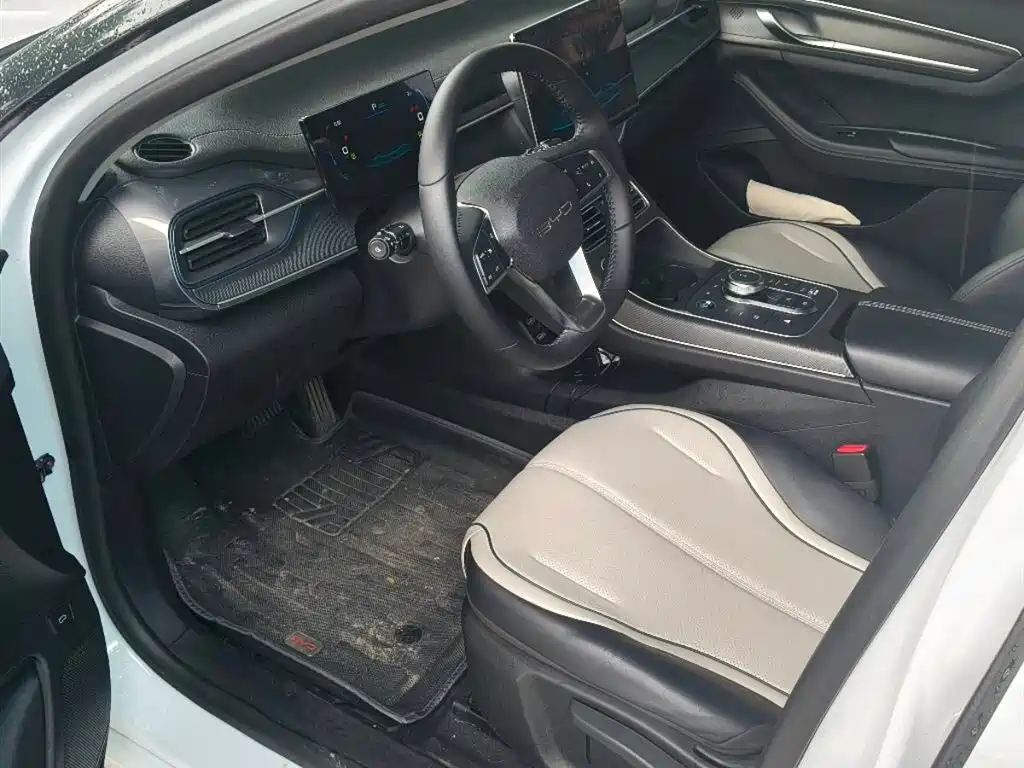 BYD Destroyer 05 2024 DM-i 55KM Luxury