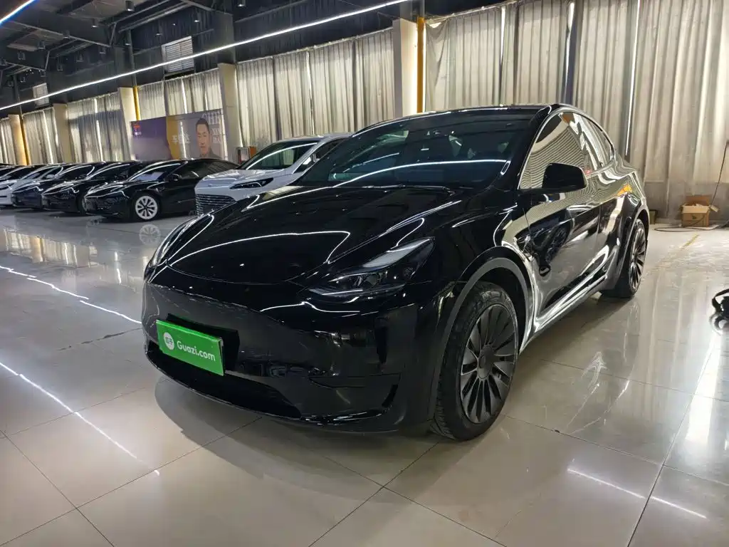 Tesla Model Y — миниатюра 2