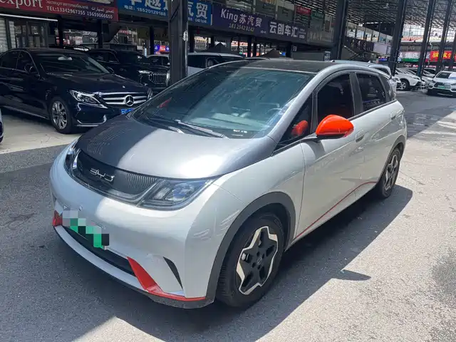 2022 BYD Dolphin
