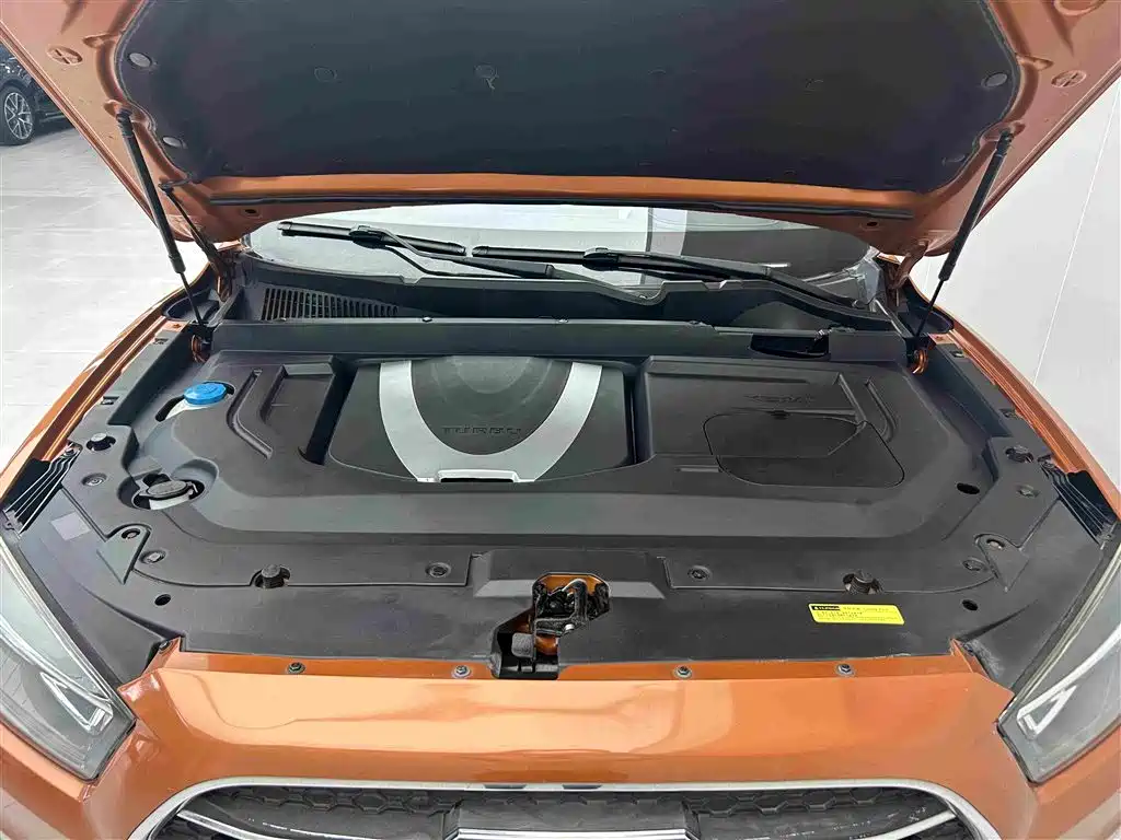 Yema Mustang T80 — миниатюра 8