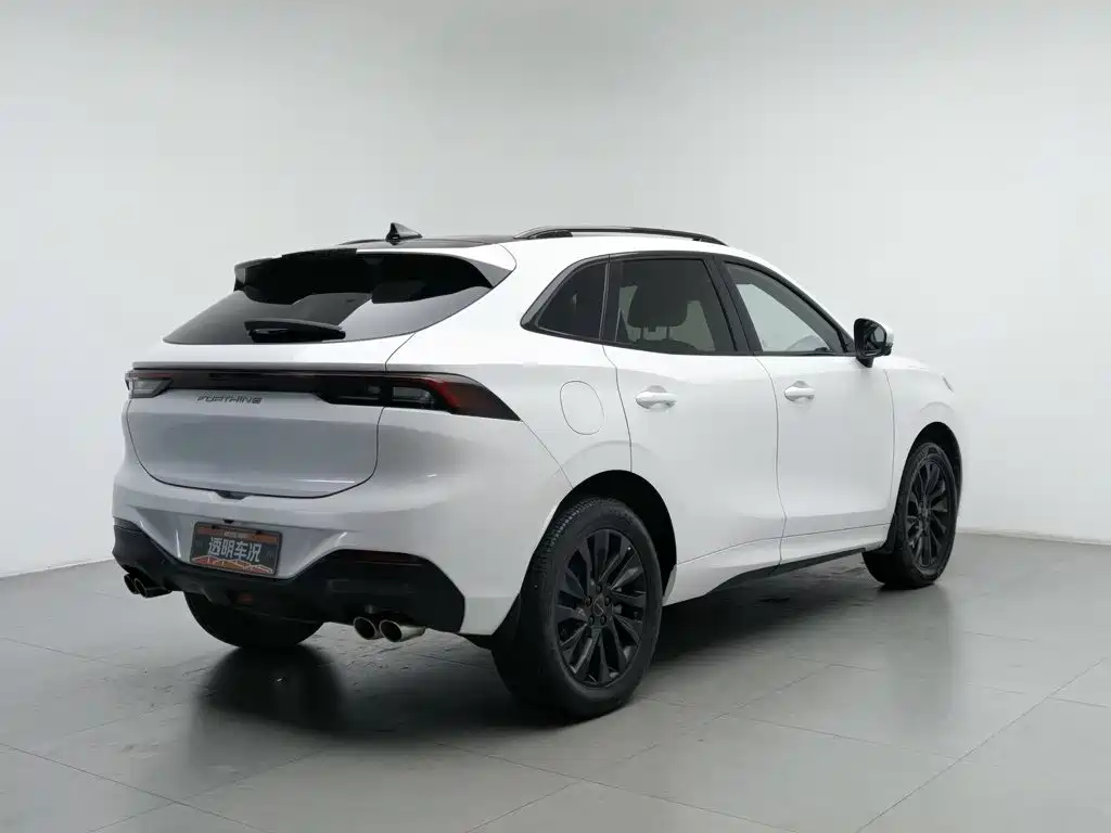Fengxing Fengxing T5 EVO — миниатюра 2