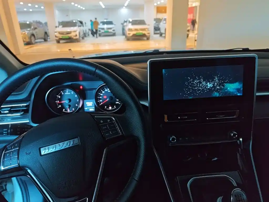 Haval M6 — миниатюра 12