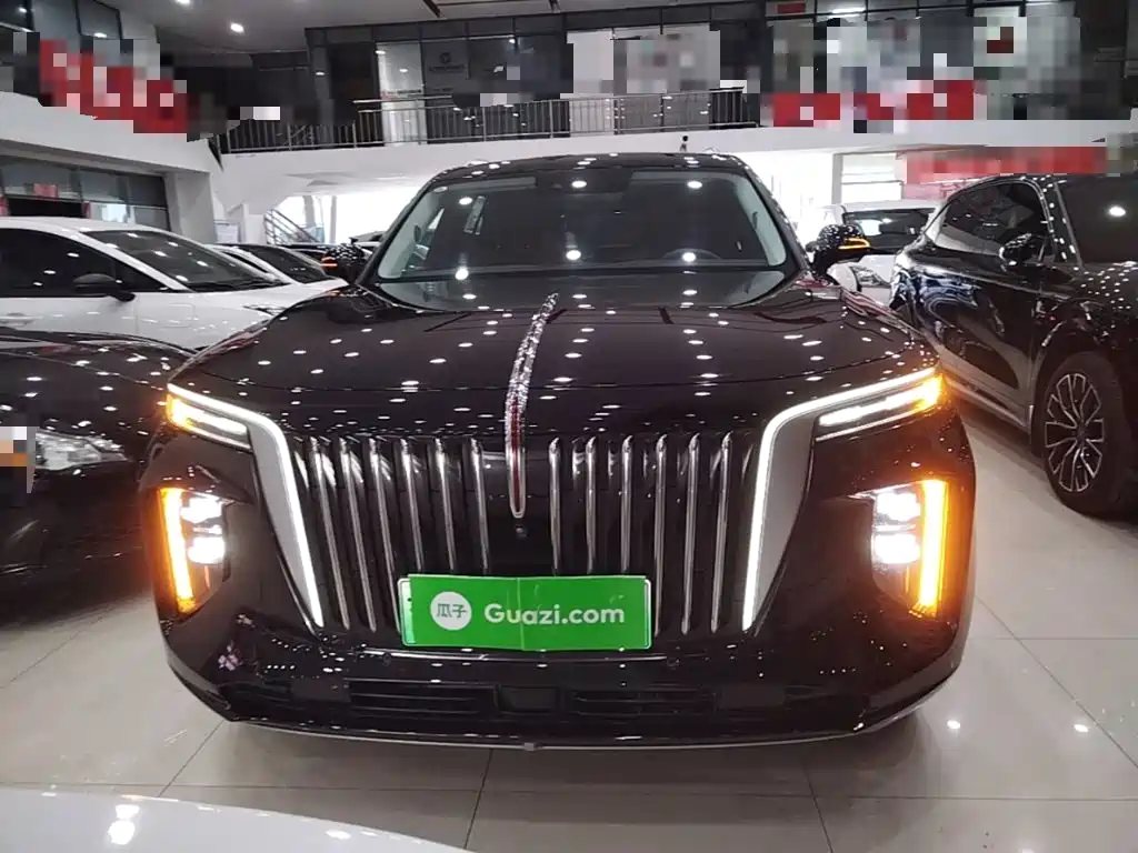 Hongqi Hongqi E-HS9 — миниатюра 3