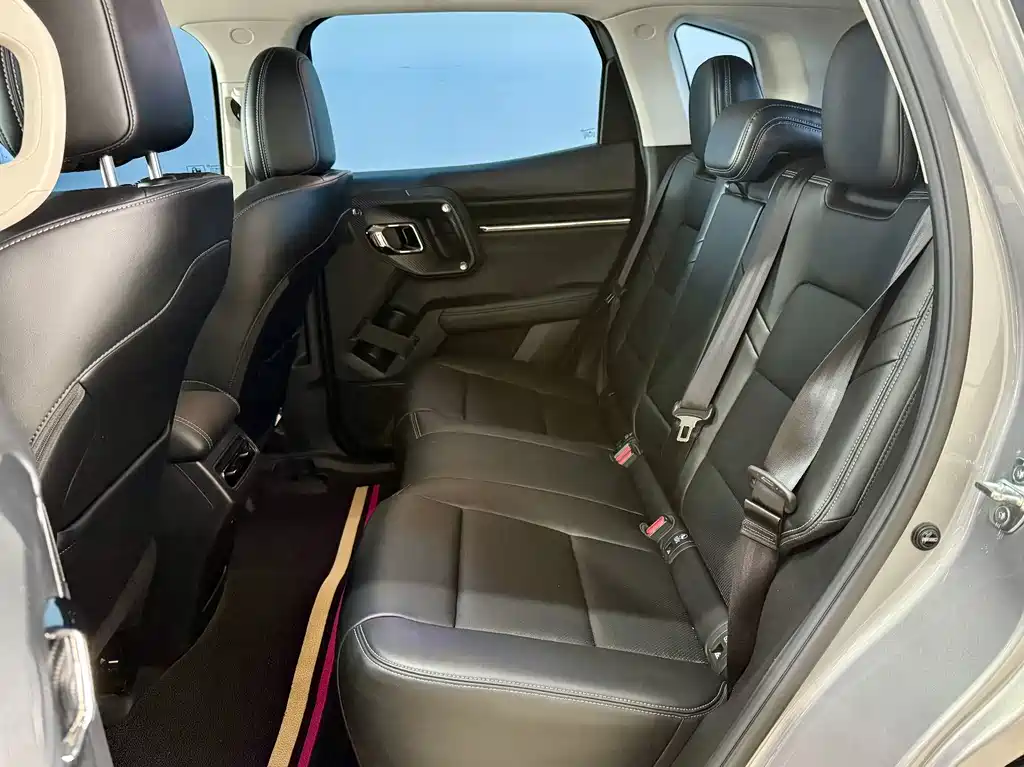 Haval Big Dog PLUS — миниатюра 8