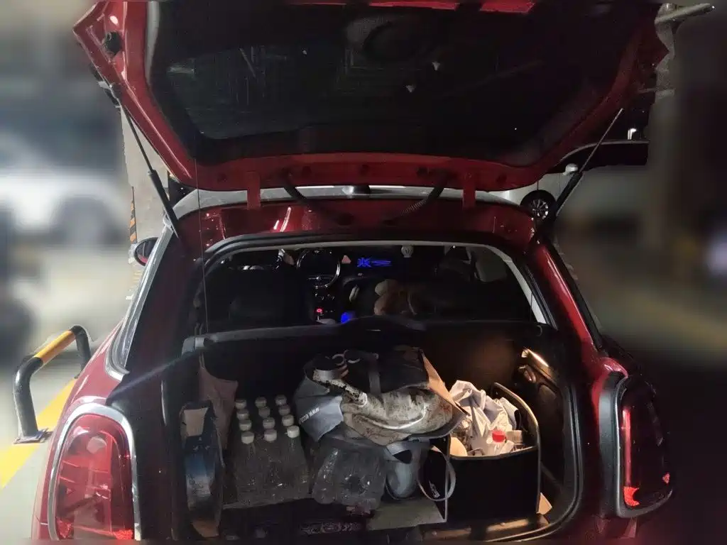 MINI Mini — миниатюра 15