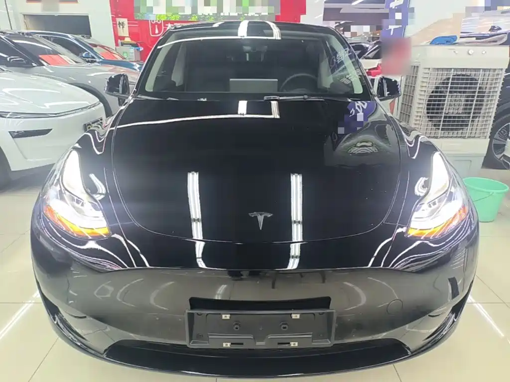 Tesla Model Y — миниатюра 3