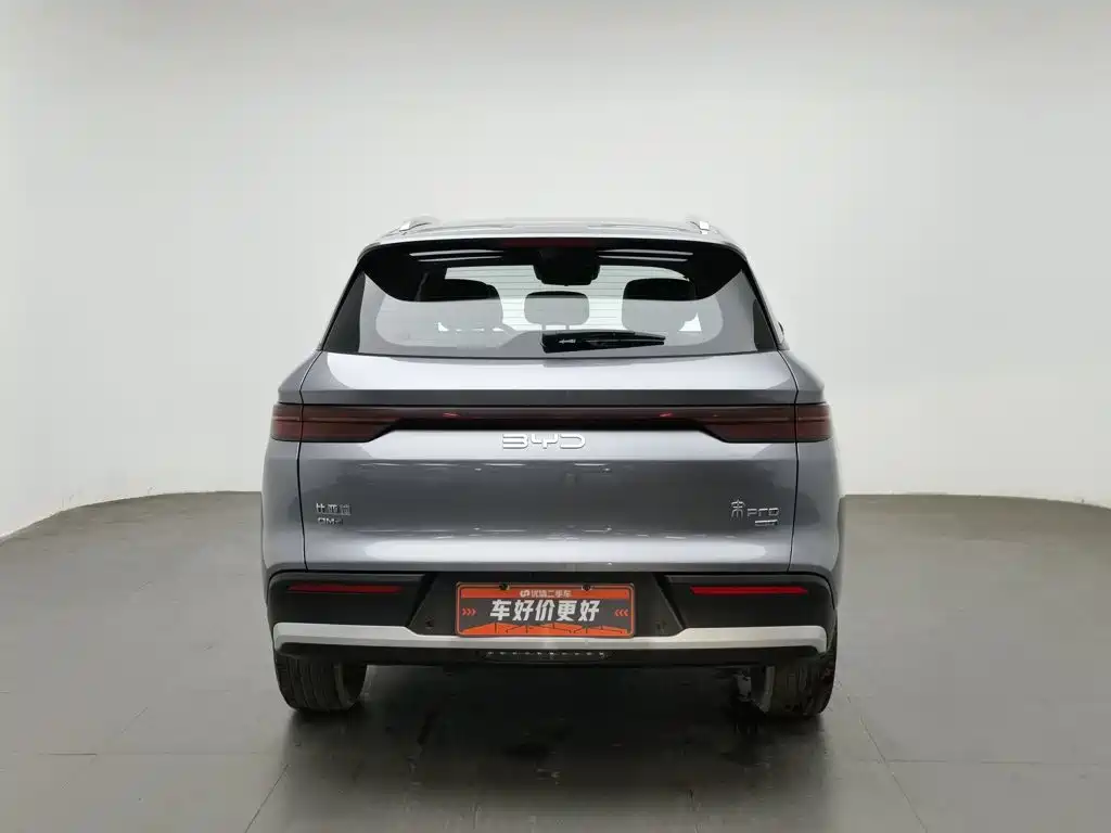 BYD Pro New Energy — миниатюра 4
