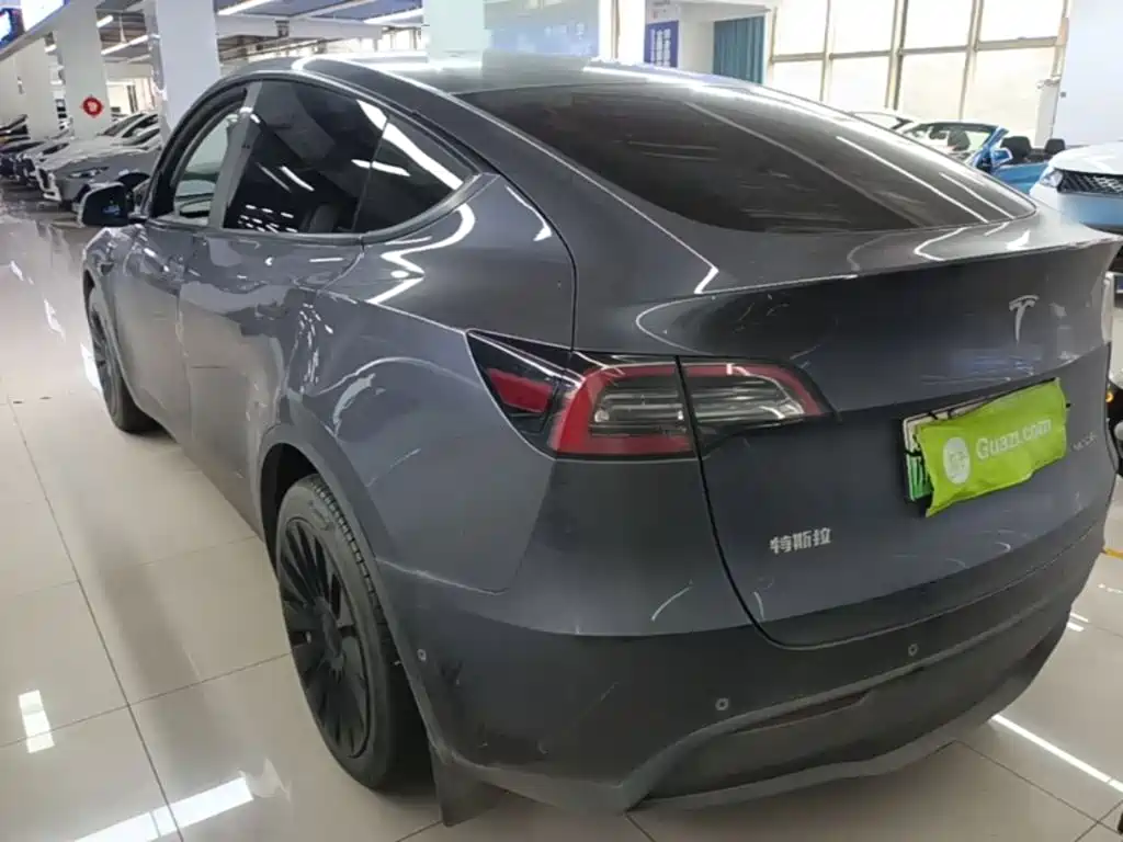 Tesla Model Y — миниатюра 5