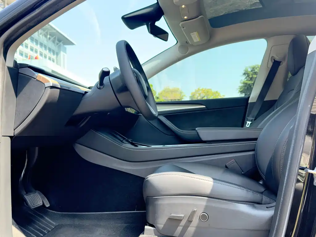 Tesla Model Y — миниатюра 6