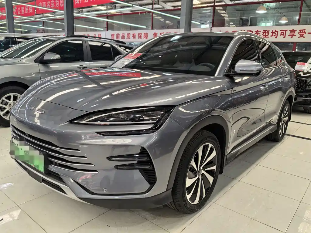 Byd PLUS New Energy 2024