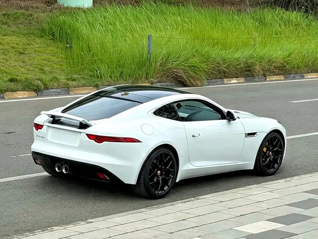 Jaguar F-TYPE — миниатюра 9