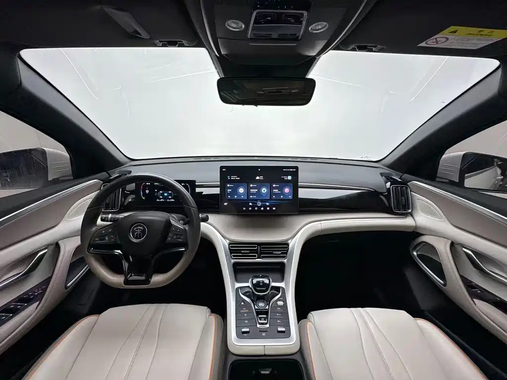 BYD Pro New Energy — миниатюра 4