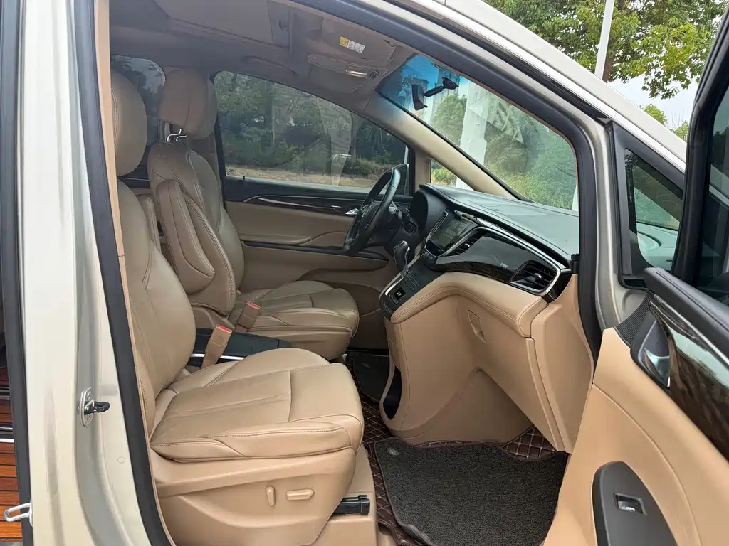 Buick GL8 — миниатюра 17