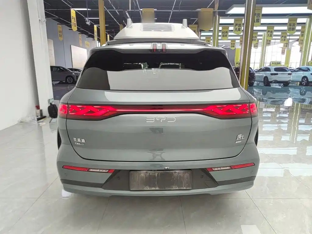 BYD Дон Л. — миниатюра 6