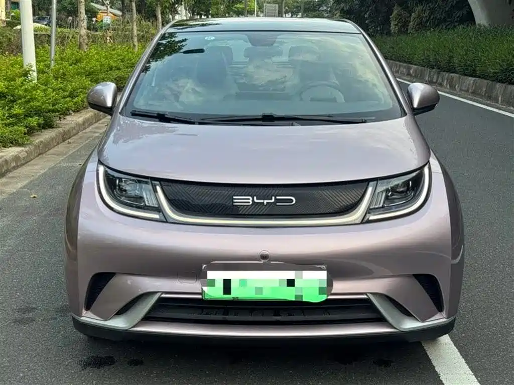 BYD Dolphin 2021 405km Fashion