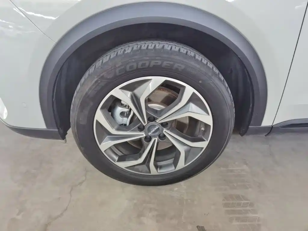 Haval Xiaolong MAX — миниатюра 23