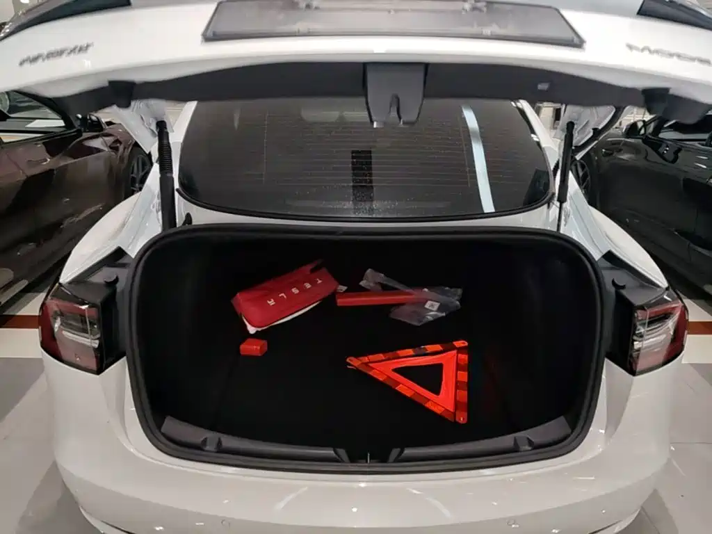 Tesla Model 3 — миниатюра 19