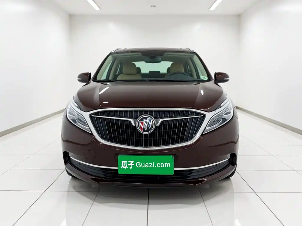 Buick GL8 — миниатюра 23
