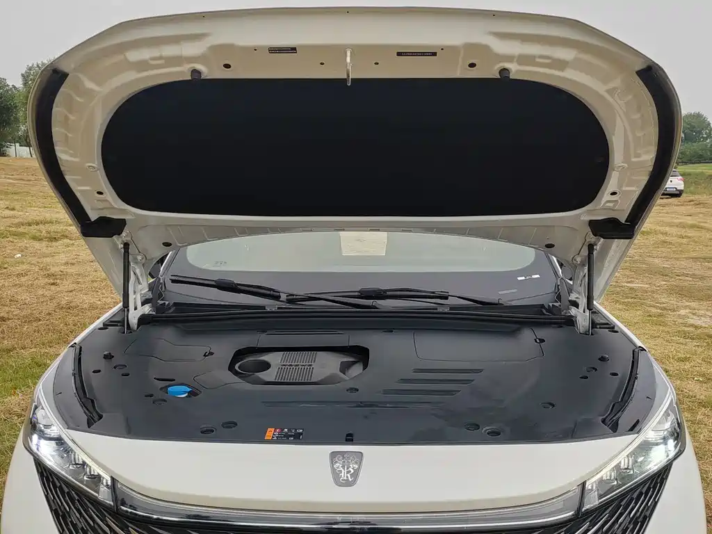 Roewe RX5 New Energy — миниатюра 16