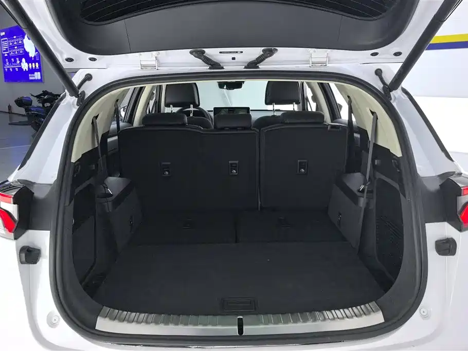 BYD Tang 2018 DM 2.0T 7 мест V