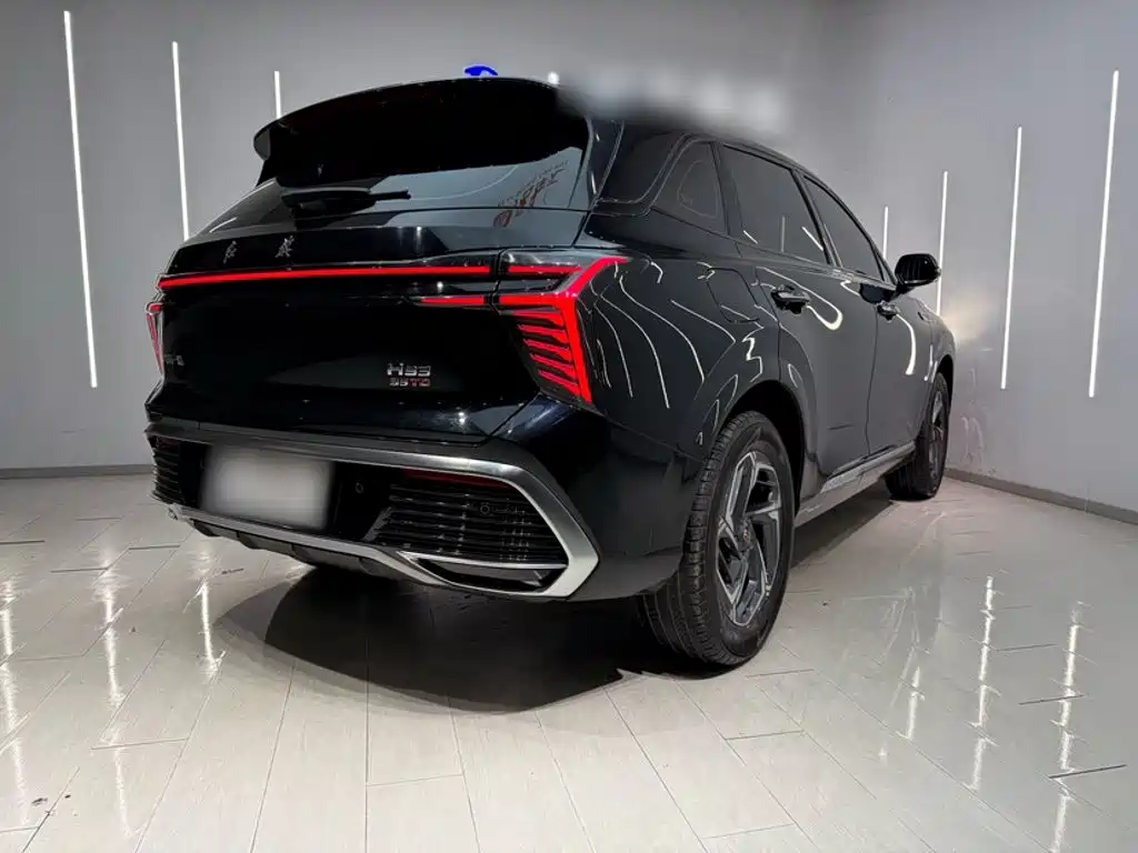 Hongqi Hongqi HS3 — миниатюра 23