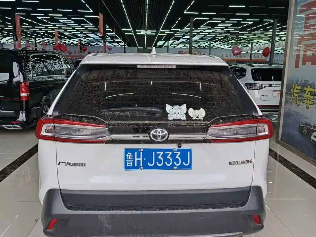 Toyota Wildlander — миниатюра 9