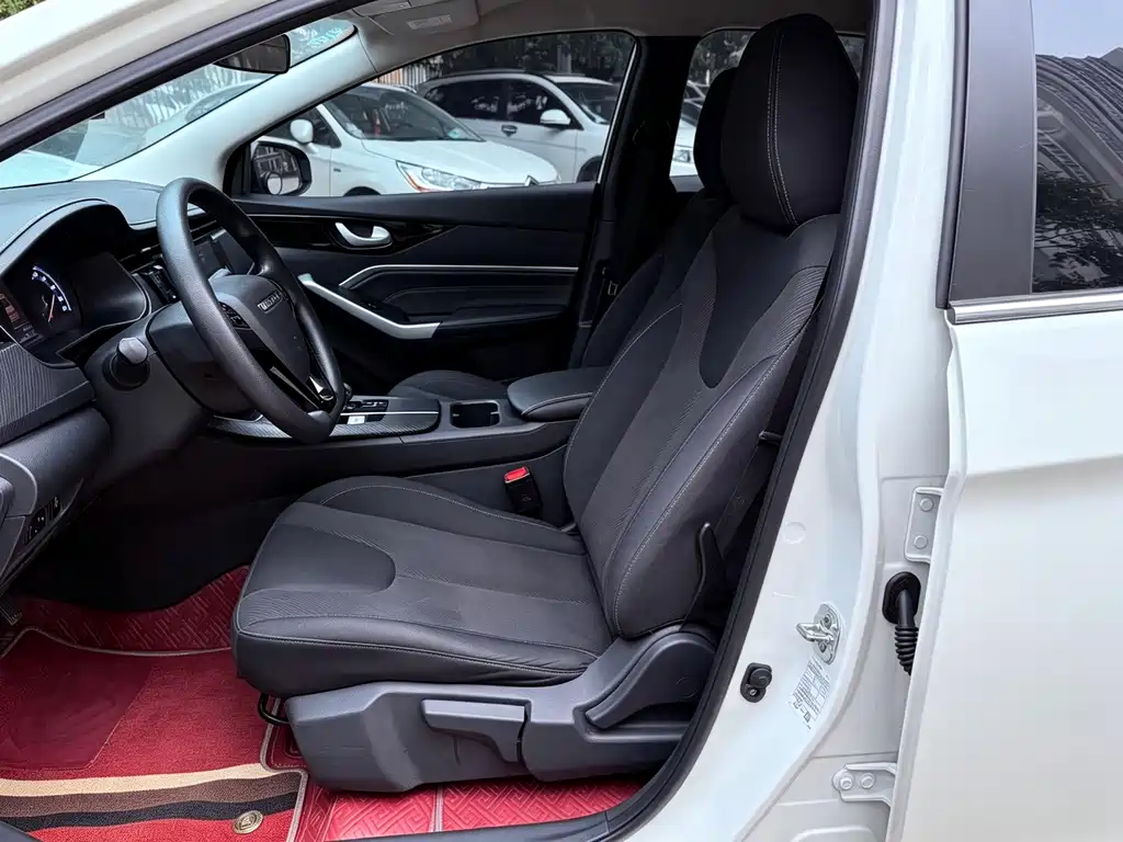 Venucia D60 EV — миниатюра 11