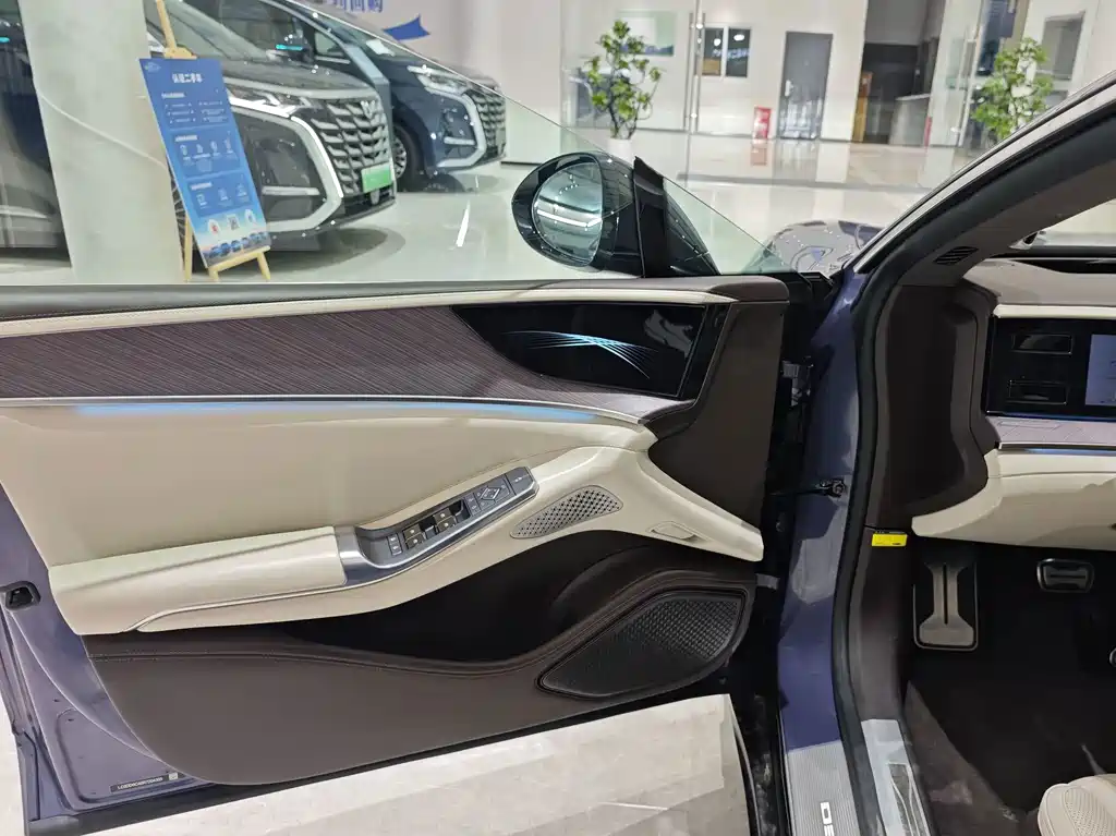 Denza Denza Z9 — миниатюра 4