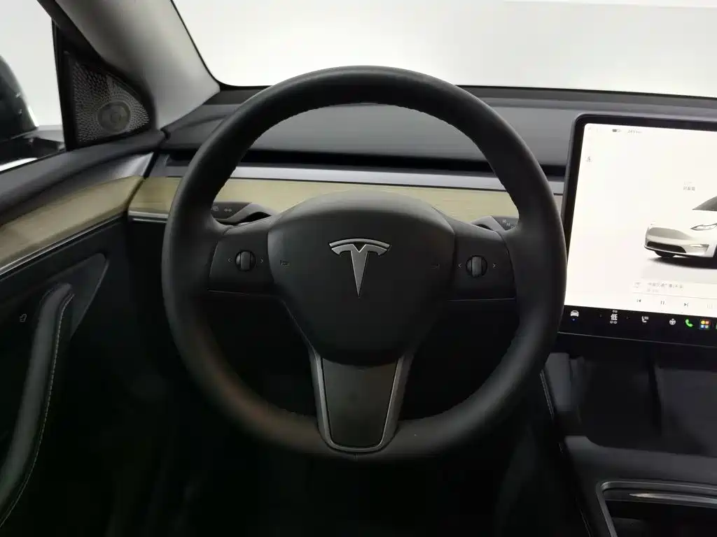 Tesla Model Y — миниатюра 11